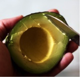 avocado2