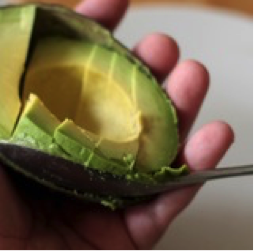 avocado3